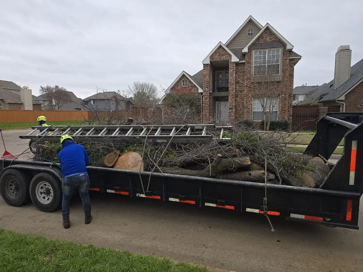 Expert Tree Pest Control with proper safety equipment in Chamberlain